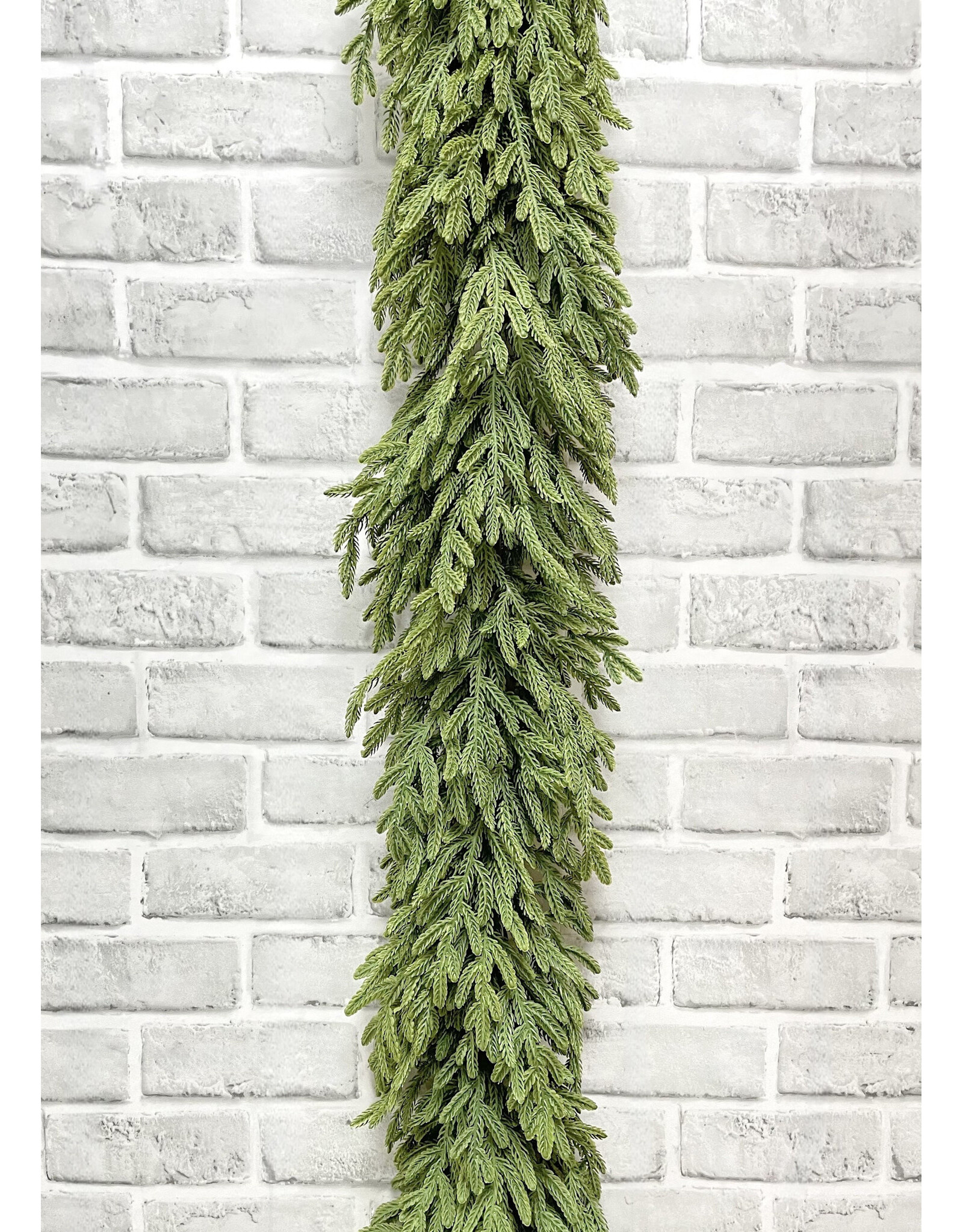 59" Fresh Touch Norfolk Island Pine Garland