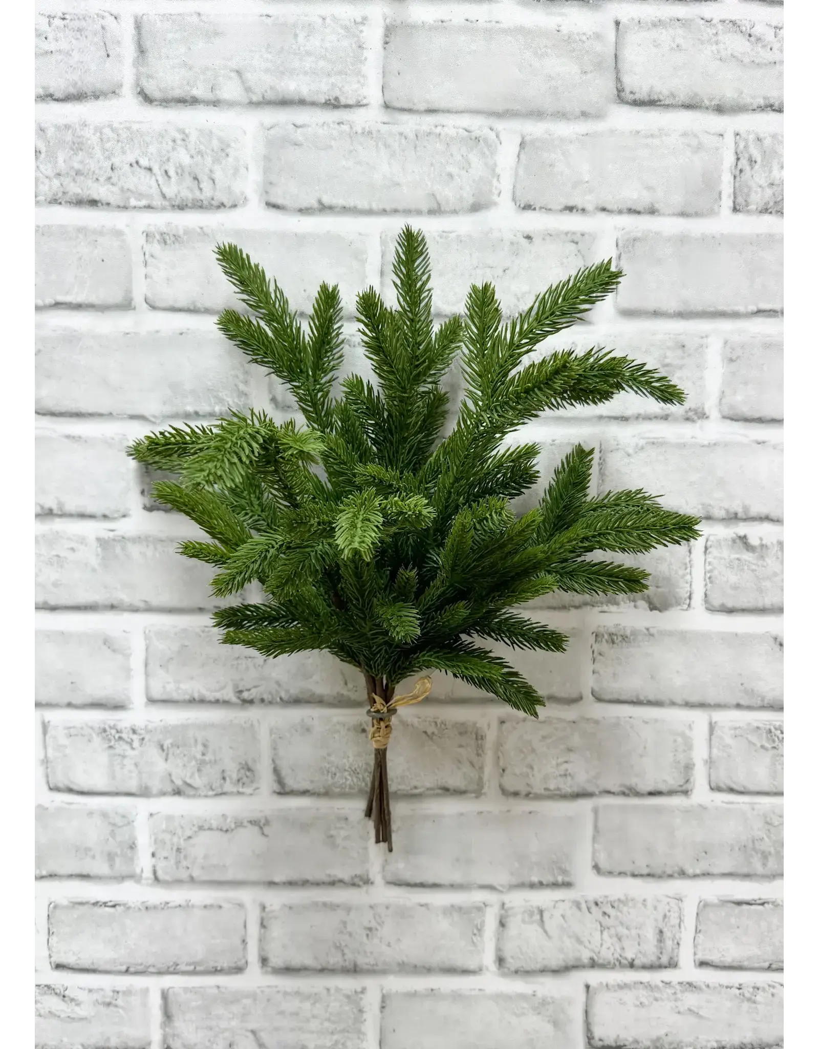 15" Fresh Touch Spruce Bundle, 5 stems
