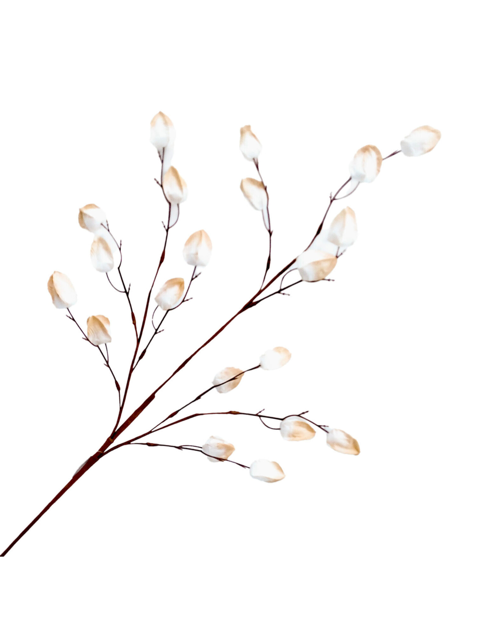 Christmas Forever 33" Flower Bud Spray - Cream