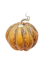 Rustic Pumpkin - Orange