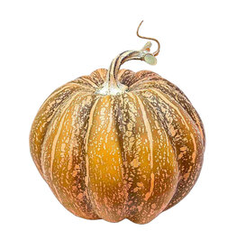 Christmas Forever Rustic Pumpkin - Orange