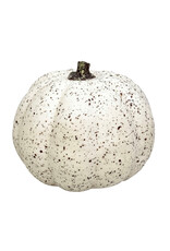 Christmas Forever Rustic Pumpkin - Cream
