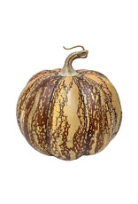 Christmas Forever Rustic Pumpkin - Brown