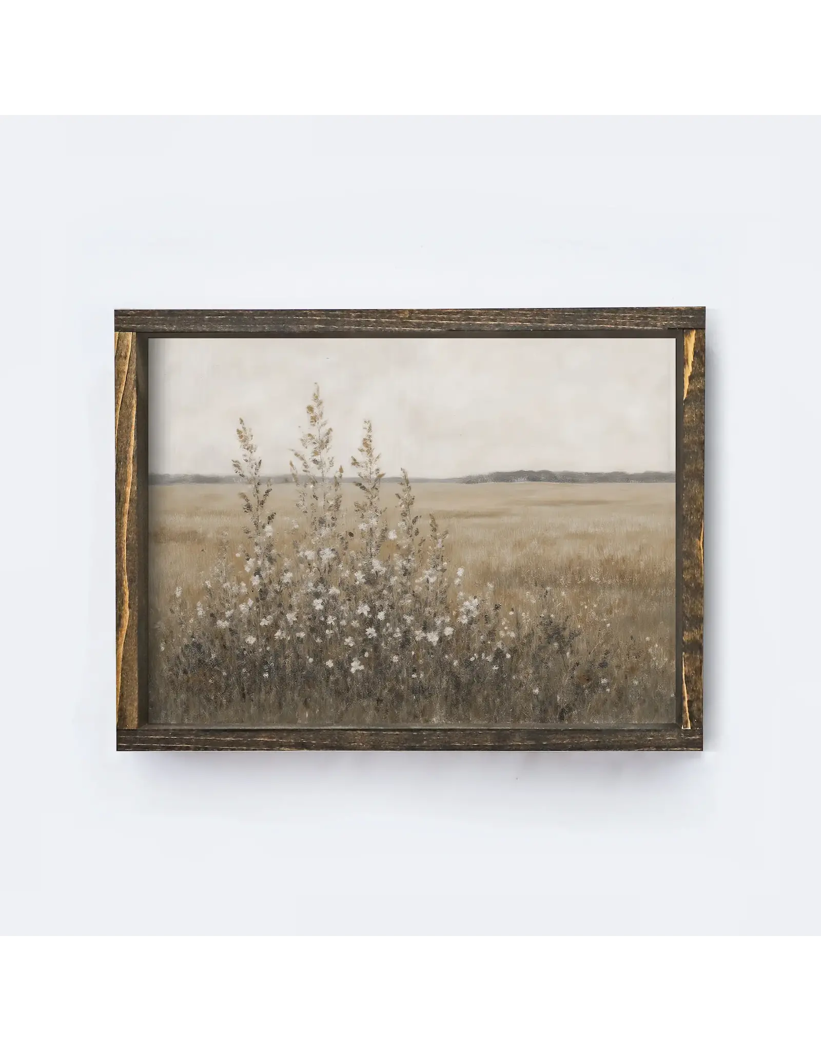 Framed Spring Meadow Painting - 19X25