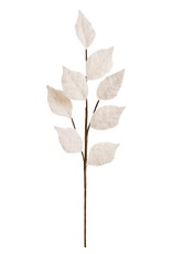Brushed Leaves Branch - beige