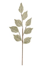 Brushed Leaves Branch - green