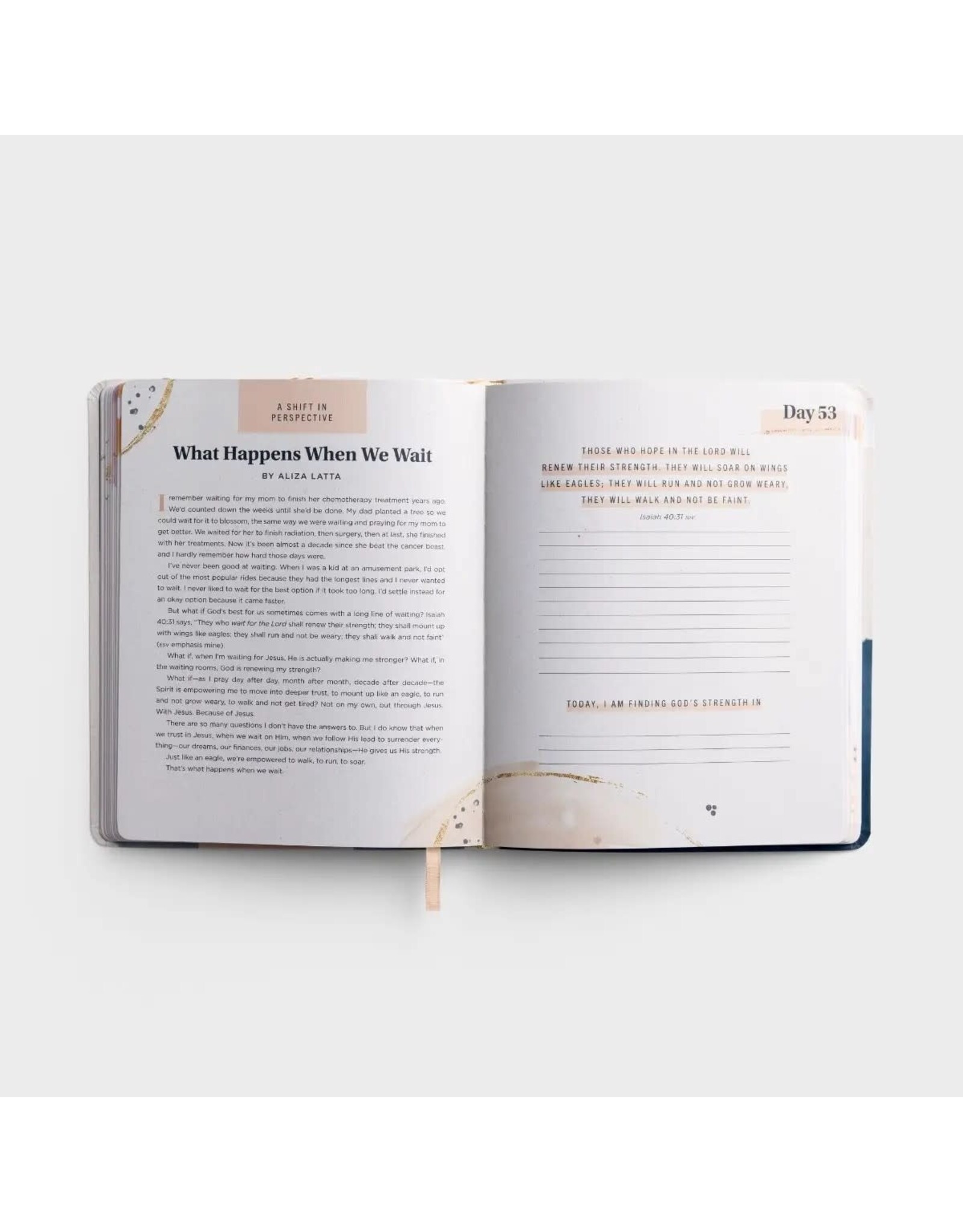 100 Days of Strength in Any Struggle - A Devotional Journal