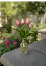 10" Fresh Touch Mini Tulip Bundle - Pink