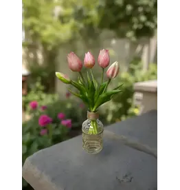 10" Fresh Touch Mini Tulip Bundle - Pink