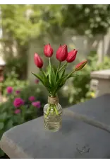 10" Fresh Touch Mini Tulip Bundle - Rose