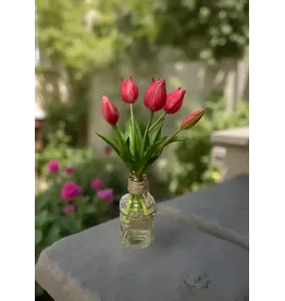 10" Fresh Touch Mini Tulip Bundle - Rose