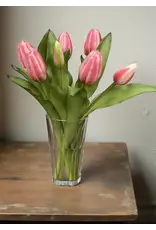 12" Fresh Touch Formosa Tulip Bundle - Cotton Candy Pink