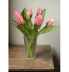 12" Fresh Touch Formosa Tulip Bundle - Cotton Candy Pink