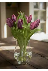 12" Fresh Touch Formosa Tulip Bundle - Dark Plum