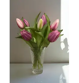 12" Fresh Touch Formosa Tulip Bundle - Lavender