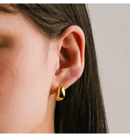 Lover's Tempo Crest Dome Hoop Earing - Gold