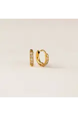 Evie 10mm Huggie Hoops - Gold