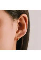 Lover's Tempo Evie 10mm Huggie Hoops - Gold