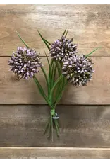 11" Allium Bundle - Mauve