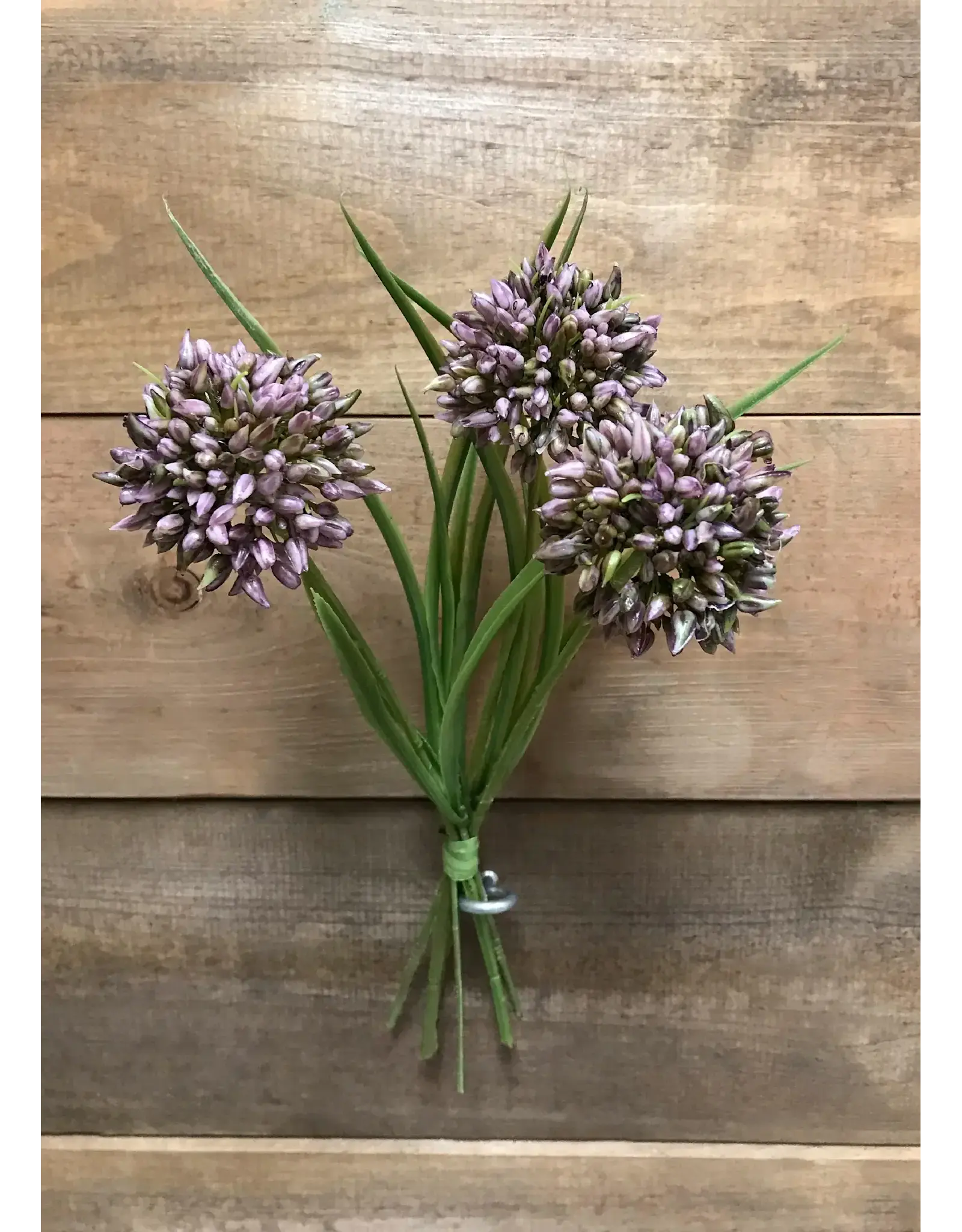 11" Allium Bundle - Mauve
