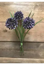 11" Allium Bundle - Purple