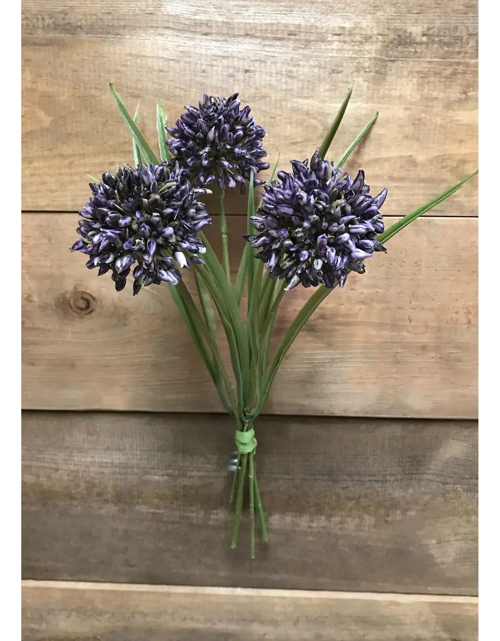 11" Allium Bundle - Purple