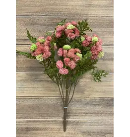 16" Fresh Touch Sedum Bush - Pink/Green