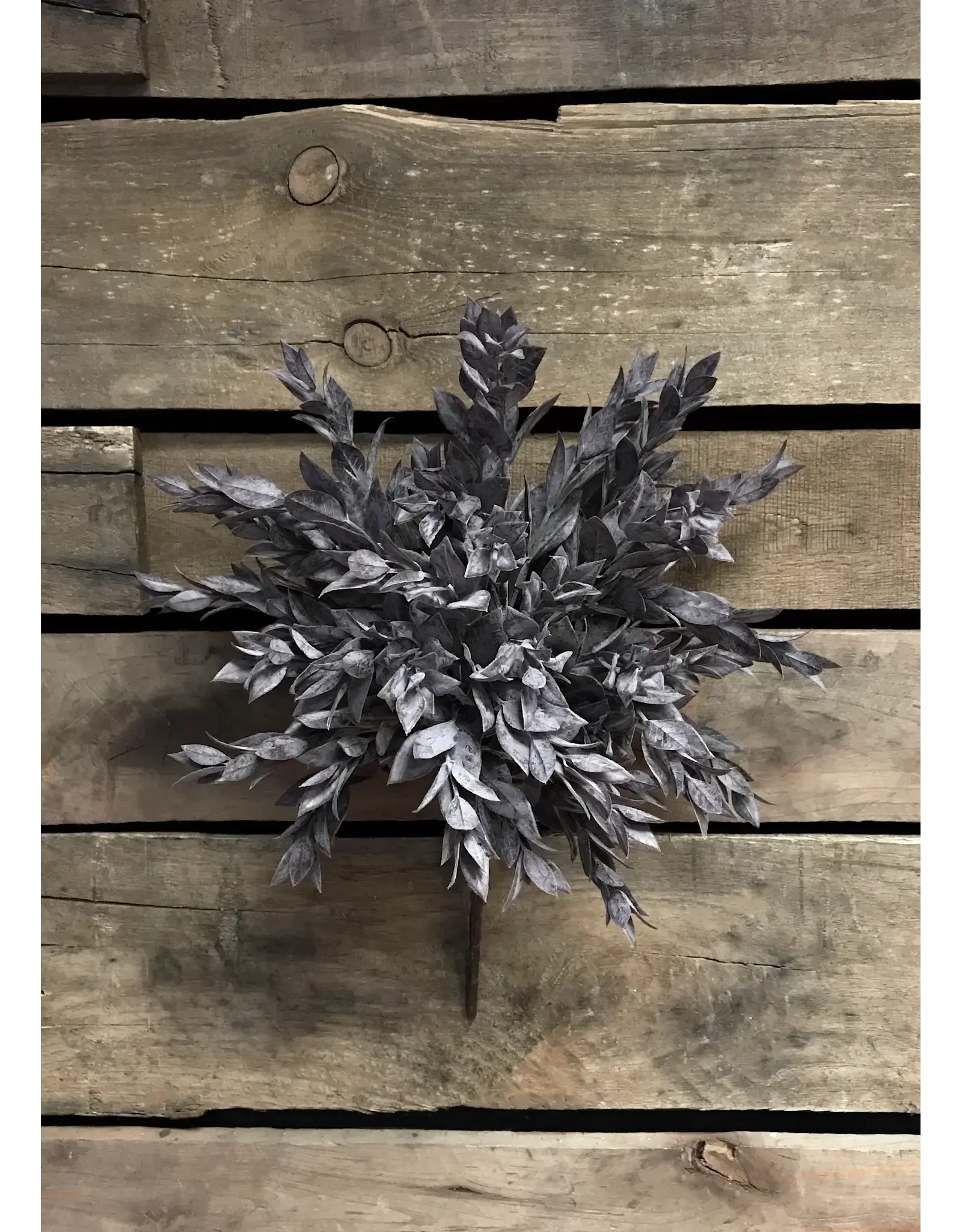 15" Ruscus Leaves Bush