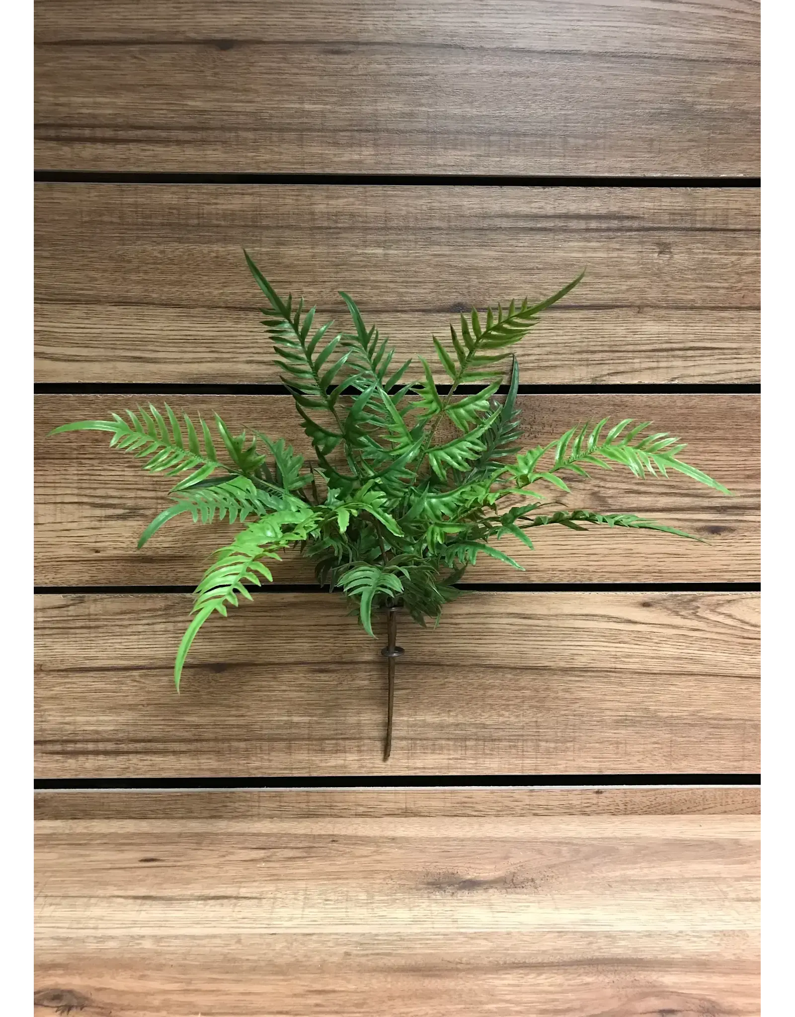 19" Mixed Fern Spray