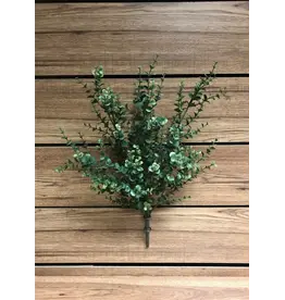 20" Eucalyptus Bush