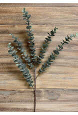 28" Eucalyptus Spray