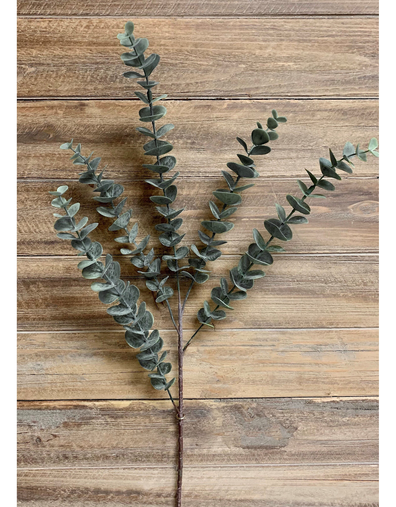 28" Eucalyptus Spray