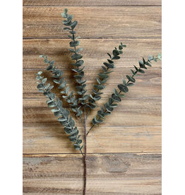 28" Eucalyptus Spray