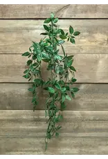 23" Hanging Vine