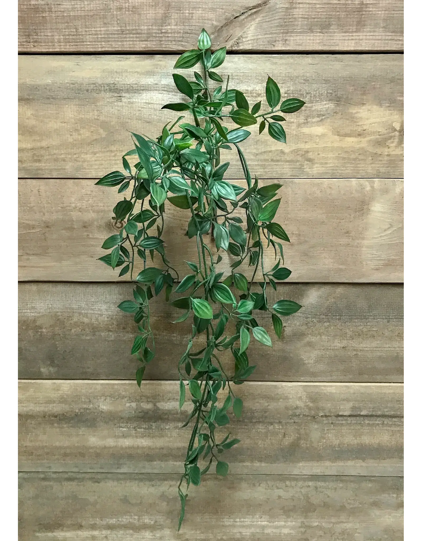 23" Hanging Vine