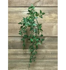 23" Hanging Vine
