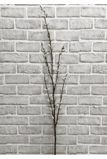 46" Pussy Willow Spray