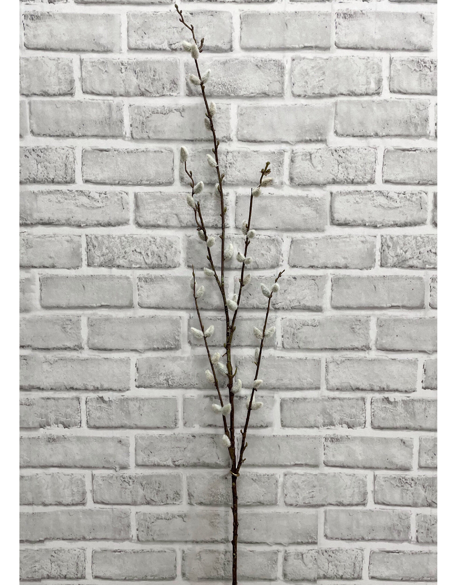 46" Pussy Willow Spray