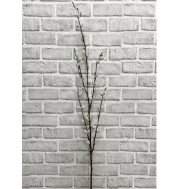46" Pussy Willow Spray