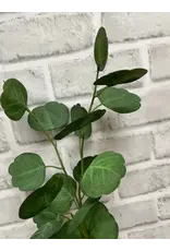 26" Fresh Touch Eucalyptus Spray