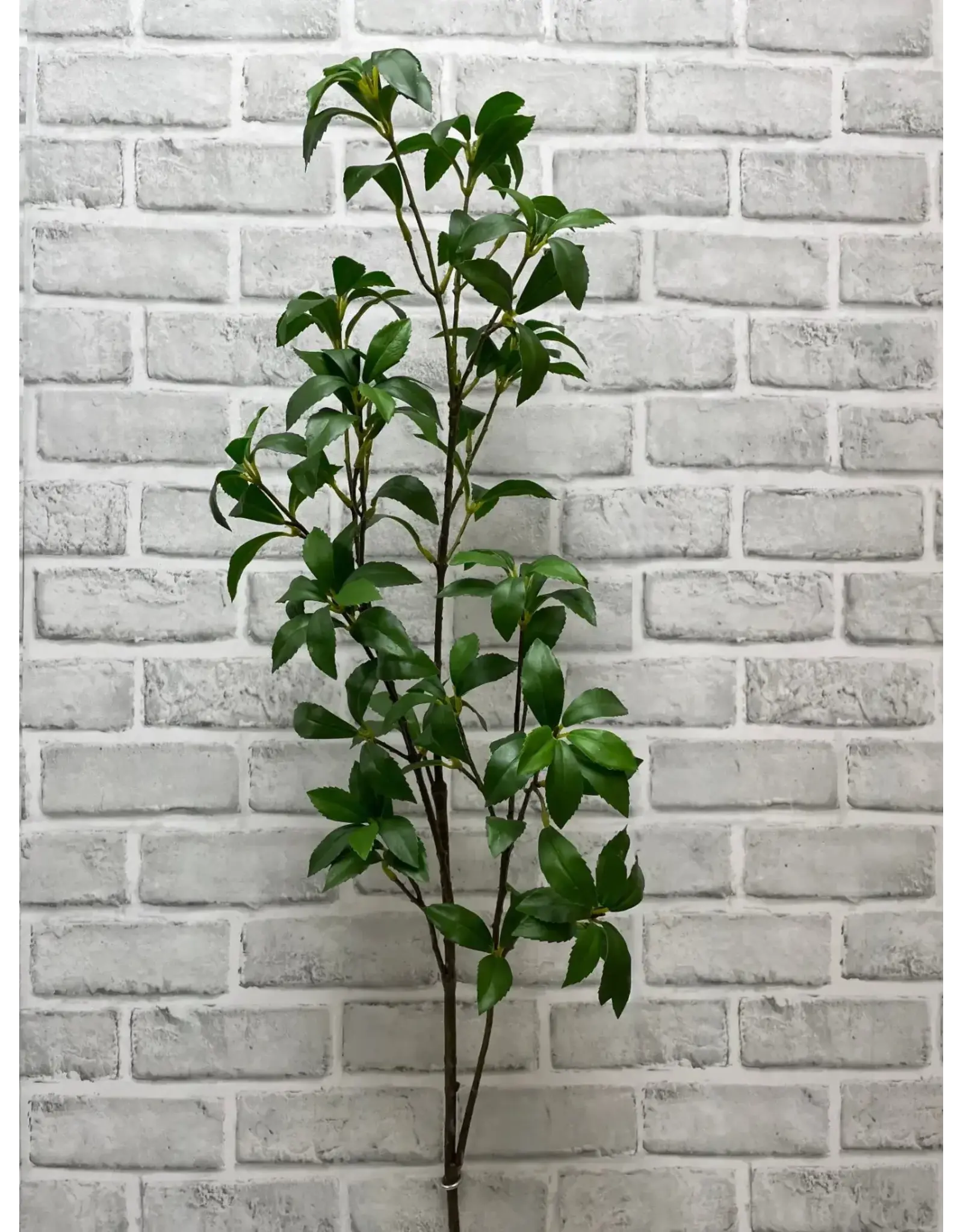 41" Fresh Touch Mangrove Leaf Spray