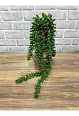 18" Fresh Touch Jelly Bean Succulent Stem