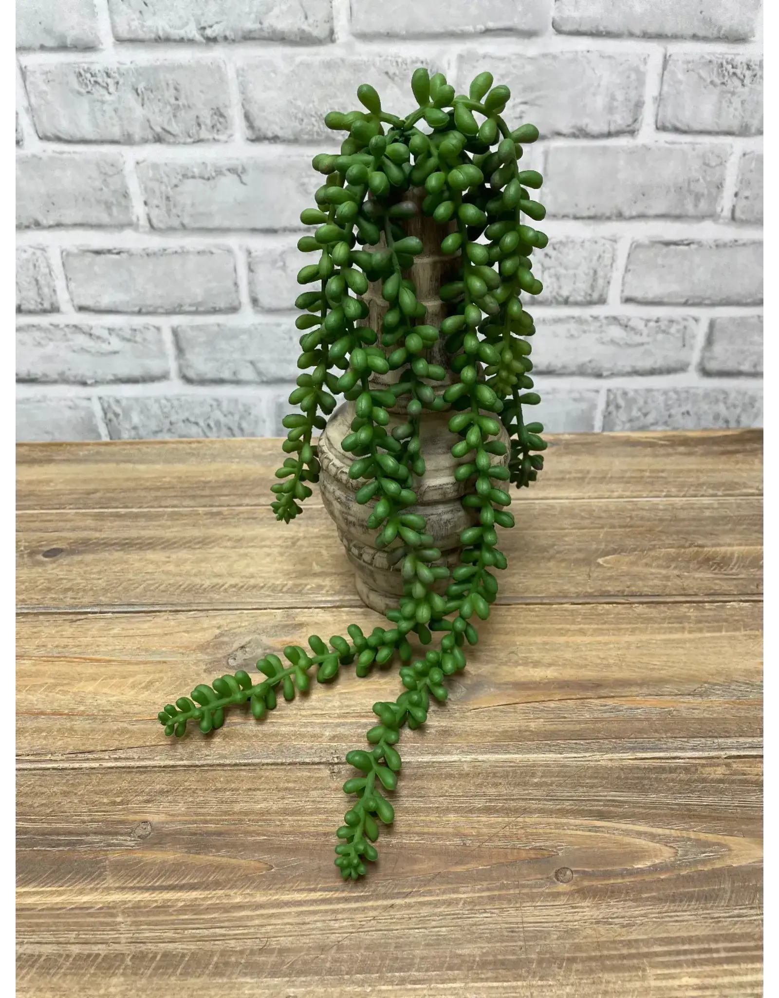 18" Fresh Touch Jelly Bean Succulent Stem