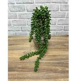 18" Fresh Touch Jelly Bean Succulent Stem