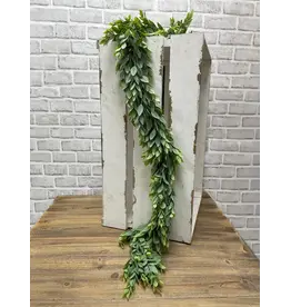 6' Ruscus Garland