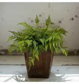 22" Fresh Touch Lacy Fern Bush