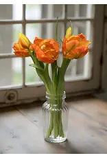 16" Fresh Touch Parrot Tulip - Orange