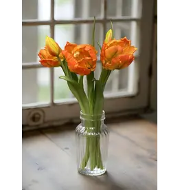 16" Fresh Touch Parrot Tulip - Orange