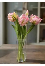 16" Fresh Touch Parrot Tulip - Pink