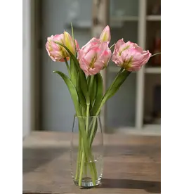 16" Fresh Touch Parrot Tulip - Pink